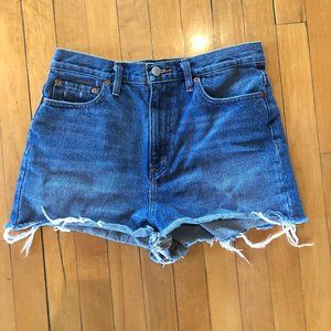 BDG High-Rise Jean Shorts
